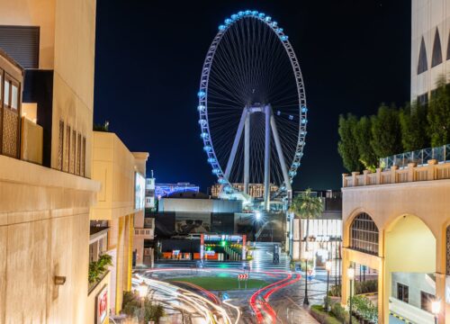 Unforgettable Free Experiences in Abu Dhabi: Culture, Nature, and Heritage on a Budget