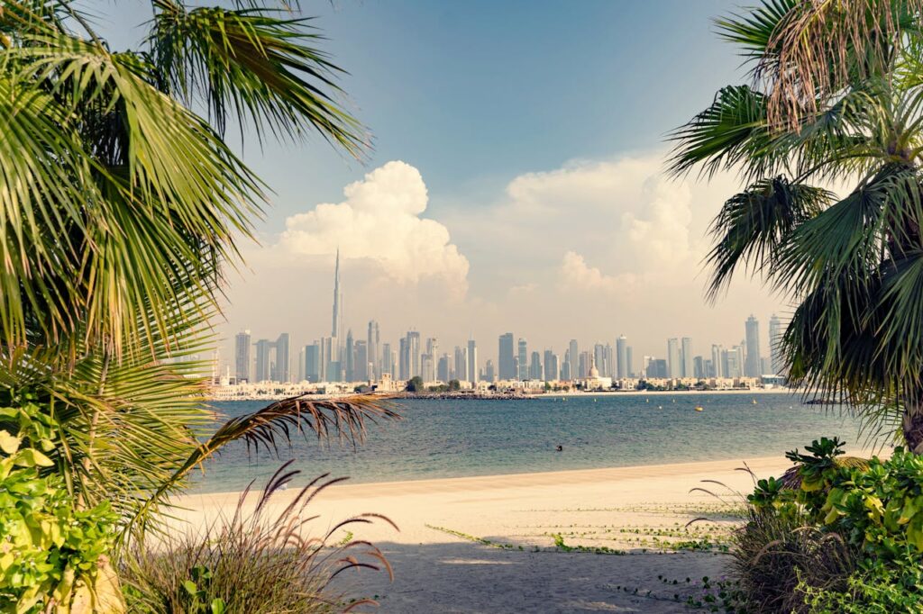 Saadiyat Island: Abu Dhabi’s Cultural Oasis and Natural Sanctuary