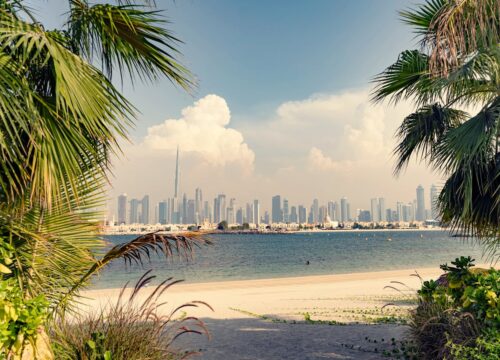 Saadiyat Island: Abu Dhabi’s Cultural Oasis and Natural Sanctuary