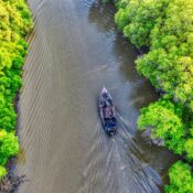 Mangrove National Park