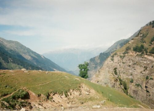 Abu Dhabi’s Natural Wonders: A Journey Through Wild Landscapes and Unique Wildlife