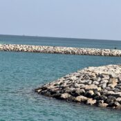 Dalma Island