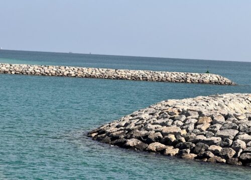 Dalma Island: Abu Dhabi’s Hidden Oasis of History, Culture, and Natural Beauty