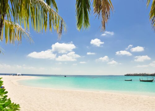 Sir Bani Yas Island: A Sanctuary of Nature, Heritage, and Luxury in Abu Dhabi