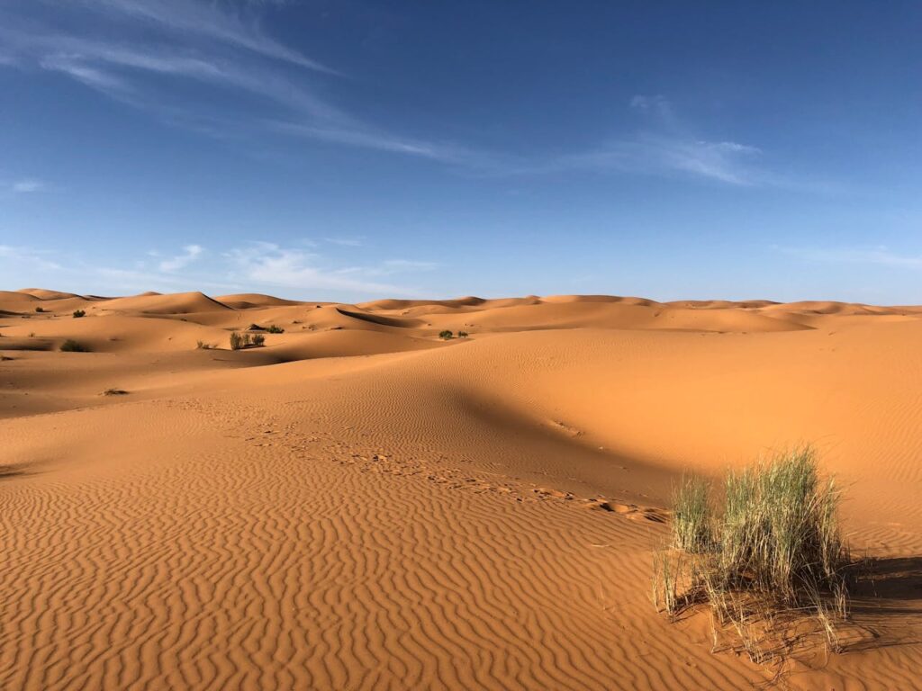 Discover Liwa Village: An Oasis of Tradition and Tranquility in the Heart of the Desert