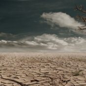 Abu Dhabi’s Desert