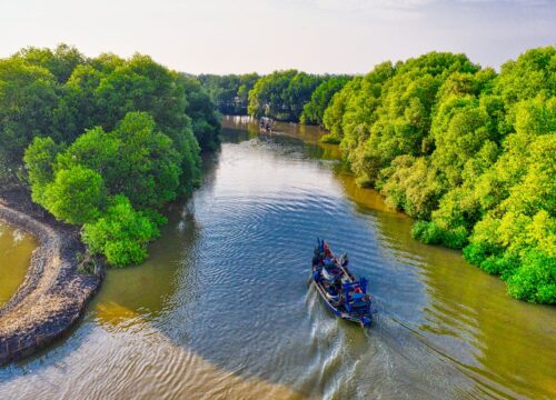 Abu Dhabi Morning Layover Magic: A Tranquil Escape to the Mangroves
